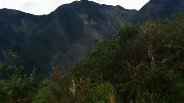 Loja Ecuador to Podocarpus National Park, Near Vilcabamba Ecuador смотреть онлайн