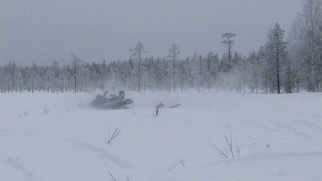 Wheelie Gone Wrong Lynx Boondocker 3900ds