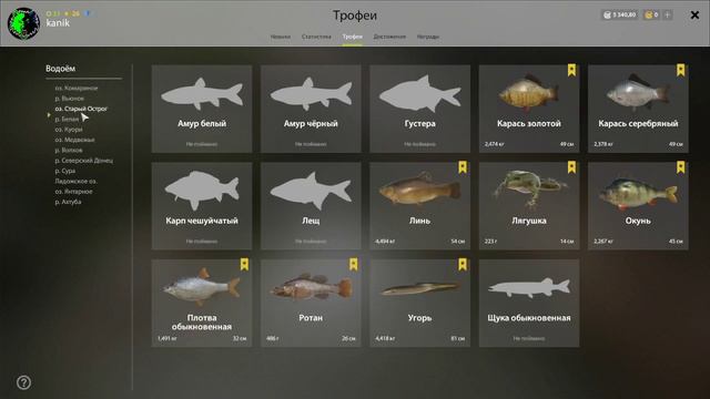 русская рыбалка 4 пробуем закрыть троф ерша носаря смотреть онлайн