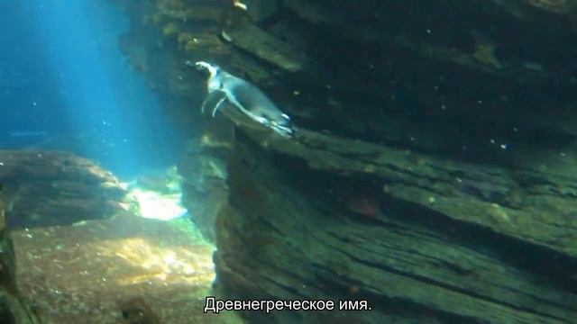 Значение имени Стакрат. Толкование, судьба, характер смотреть онлайн