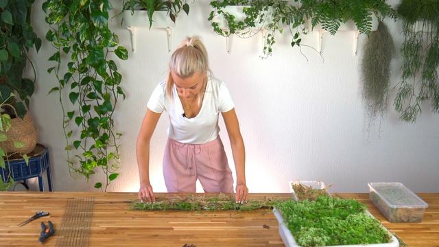 ОПОРЫ из МХА | Как сделать опору из мха своими руками? | DIY | 2021 Для комнатных растений смотреть онлайн