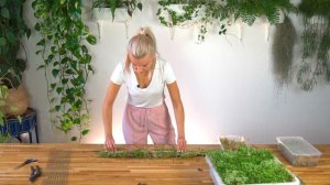 ОПОРЫ из МХА | Как сделать опору из мха своими руками? | DIY | 2021 Для комнатных растений