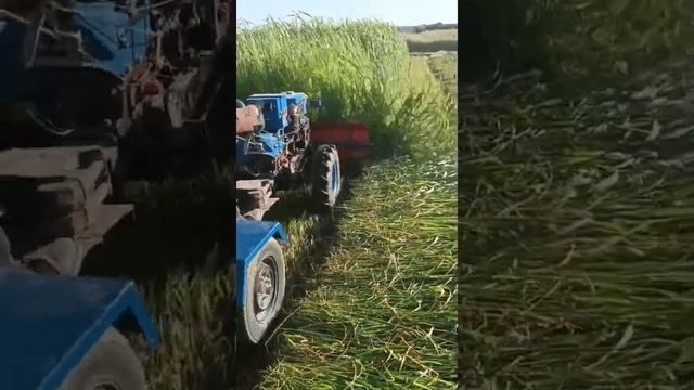 зубр косилка смотреть онлайн