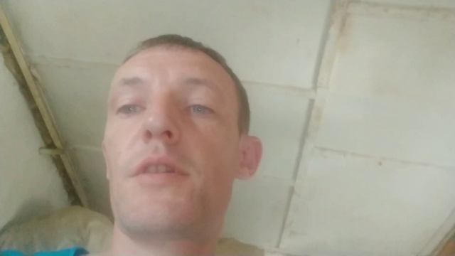 Прошло 2е недели с момента вывода цыплят!!! И какой падеж цыплят!!!