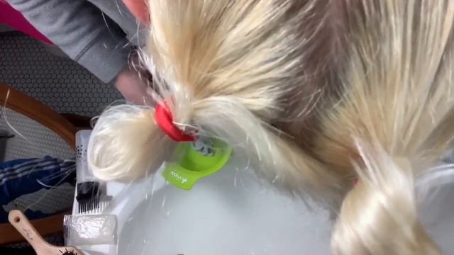 Testing Arctic Fox Bleach Please, Platinum Blonde Tutorial смотреть онлайн