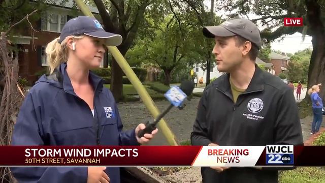 Tree toppled in Savannah's Ardsley Park neighborhood смотреть онлайн
