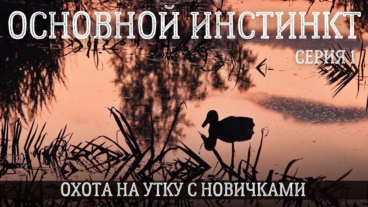Основной инстинкт. Охота на утку с новичками #1