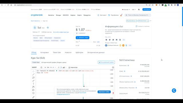 ARBITRUM ИЛИ SUI | КАКУЮ КРИПТОВАЛЮТУ КУПИТЬ В ДОЛГОСРОК? | ПО КАКИМ ЦЕНАМ ПОКУПАТЬ? смотреть онлайн
