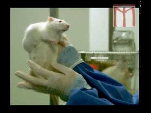 (радио Маяк "Валенки") ГМО - это стерилизация населения смотреть онлайн