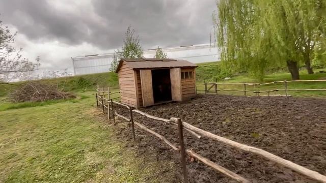 Монастырь Богоматери Всецарица 2023 смотреть онлайн