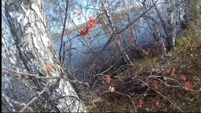 Что такое осень как красиво у нас #помощь #жизнь #доступнаясреда #любовь смотреть онлайн