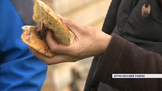В Сибири, нашёл счастье (Енисей Минусинск) смотреть онлайн