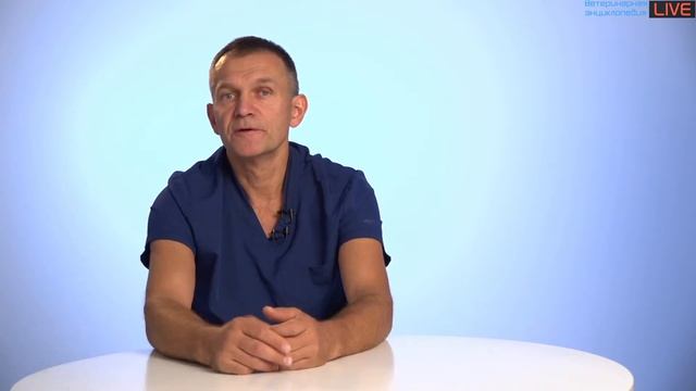 К какому врачу идут клиенты смотреть онлайн