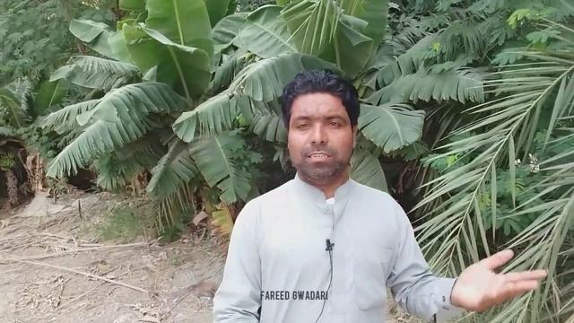 City Of Date | Turbat Balochistan