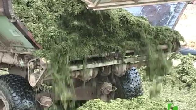 2020 04 08 Премии молодым специалистам сельского хозяйства смотреть онлайн