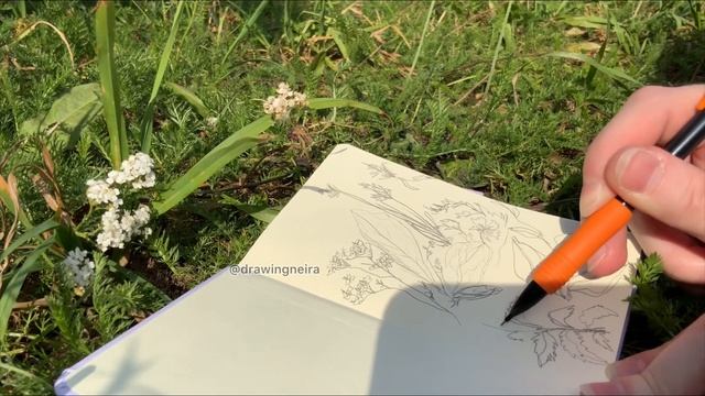Sketch nature with me! Зарисовки на природе! смотреть онлайн
