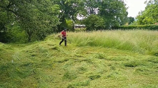 Stihl FS 350 в роботі. Заготовка сіна смотреть онлайн