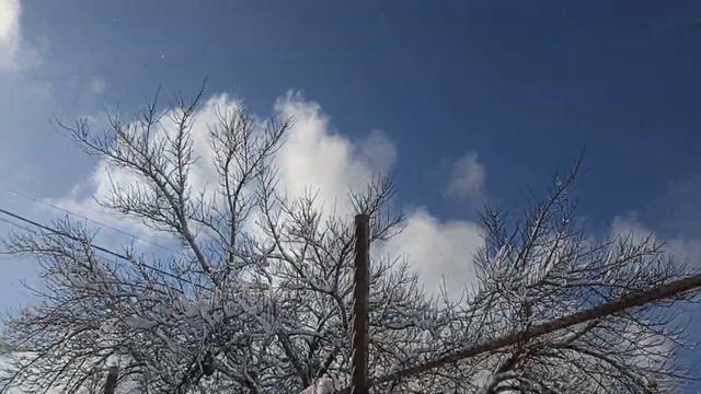 Зимняя сказка Кубани: снега много не бывает!!! Снег в теплицу: нужен или нет??? смотреть онлайн