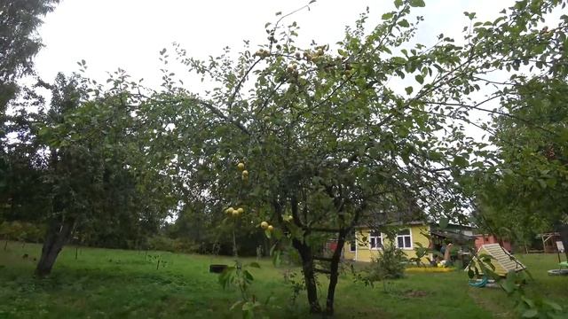 Благоустройство Навеса, Много Работы по Участку и Сделанная работа в Доме))) смотреть онлайн