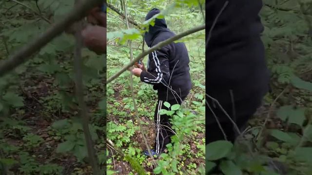 С бабулей по грибы смотреть онлайн