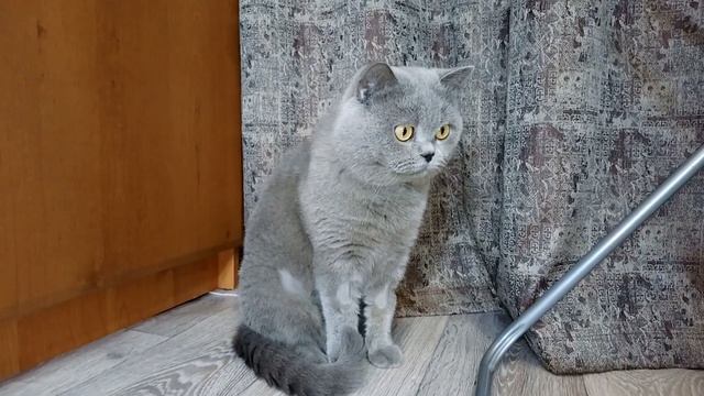 Как отрастить ногти за один день смотреть онлайн