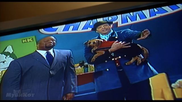 Кот отказался кушать мышь и в благодарность она спасла ему жизнь! смотреть онлайн