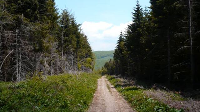 Узана - Стара планина, май 2008 г. смотреть онлайн