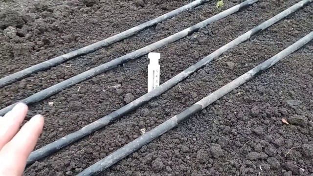 Проливаем грунт в теплице горячей водой 50 градусов для быстрого прогрева земли! 25.01.2022 смотреть онлайн