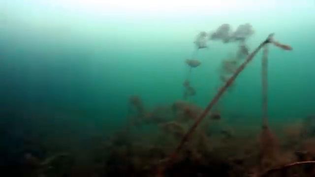 В Феврале ЭТА СМЕСЬ ловит ВСЮ Крупную РЫБУ. Опустил камеру под воду. Прикормка для рыбалки зимой. смотреть онлайн