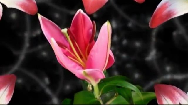 Стихотворение на день учителя (2012) смотреть онлайн