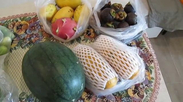 Расходы на питание в первый месяц Пробуем Барракуду смотреть онлайн