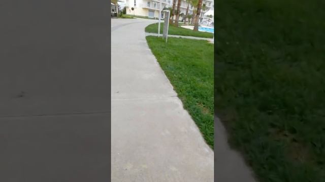 Сочи город на горах смотреть онлайн