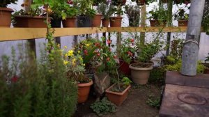 Обед Азербайджанская Кухня Деревенская Кухня  Рецепты