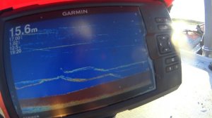 Ловля Сома на квок , Garmin STRIKER7sv