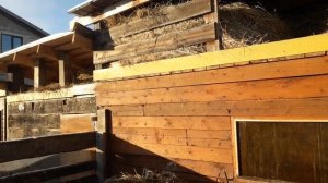 Обзор  бюджетного  сарая из шпалы и бруса для коров.