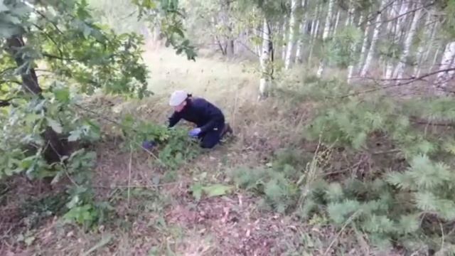 полное видео. нашли поляну грибов. смотреть онлайн