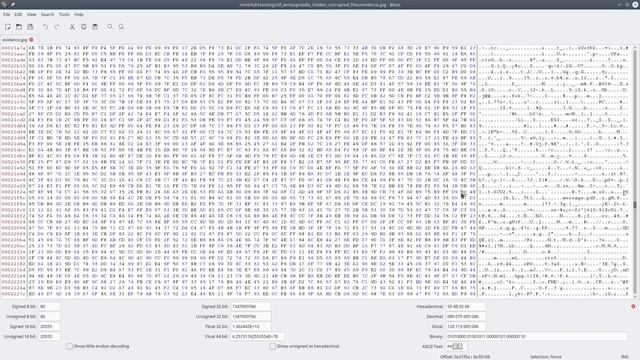 Hidden AND Corrupted files! MeePWN CTF Quals 2018 "White Snow Black Shadow" writeup! смотреть онлайн