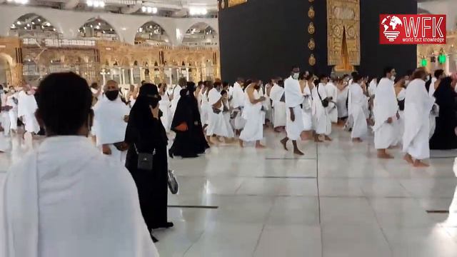 05 Famous Peoples Who Converted to Islam | Celebrities Who Accepted Islam | WFK смотреть онлайн