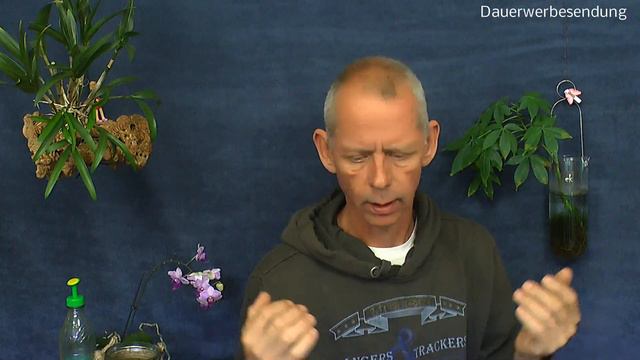 Detlef testet sein Geburtstagsgeschenk aus. Just vor Fun das Funkmikrofon von Rode смотреть онлайн