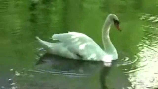 ЧТО ЕСТЬ ЛЮБОВЬ смотреть онлайн