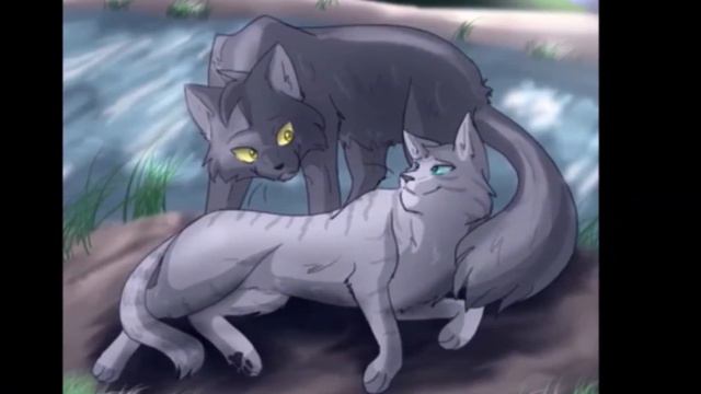 Коты воители Крутобок и Серебрянка / клип Outside. смотреть онлайн