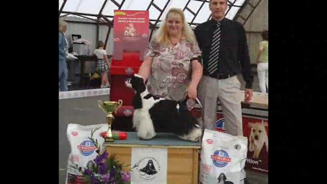 3rd National All Breed Dog Show-10.09.2016./11.09.2016. Kać (Serbia) смотреть онлайн