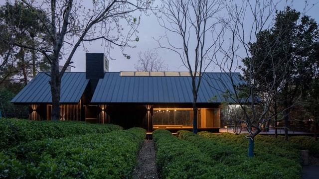 Лесной чайный домик, Ухань, Китай. Forest Tea House, Wuhan, China смотреть онлайн