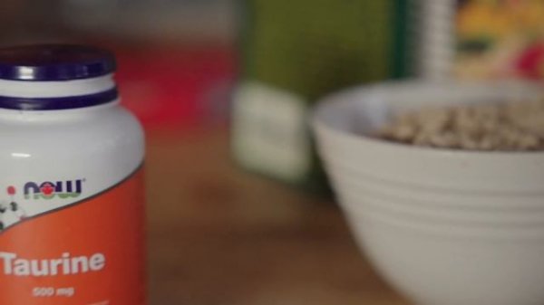 Balanced, Tasty Homemade Cat Food Recipe