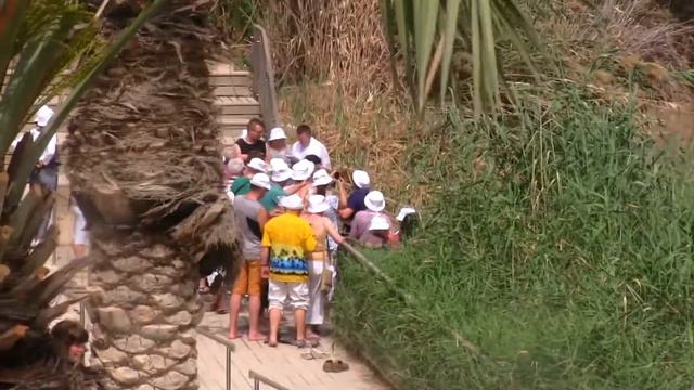 Слово на реке Иордан. Святая Земля. Священник Игорь Сильченков смотреть онлайн