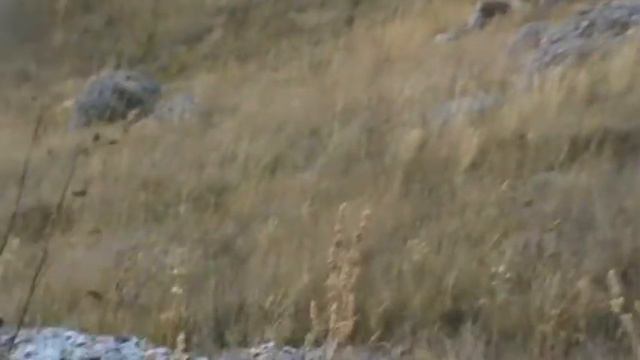 ГАЛАКТИЧЕСКАЯ РУКА СДАЁТ ЭКЗАМЕН 30.07.22г. смотреть онлайн