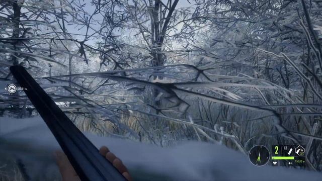 В поисках Гюнтера в The Hunter Call of the Wild (Medved Taiga) смотреть онлайн