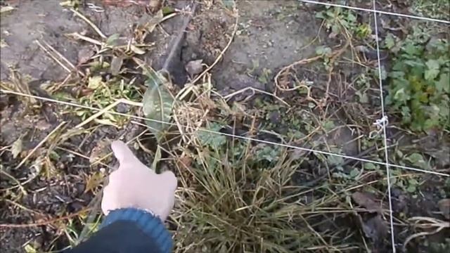 разметка под фундамент смотреть онлайн