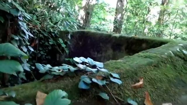 Сочи Экотур. Дольмены - инопланетный ген земли. смотреть онлайн