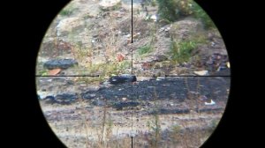 Охота на Ворону Slow Crow Hunting 2021 - Epic Replays 240 FPS  - Jack Hunter.